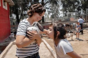 zoo