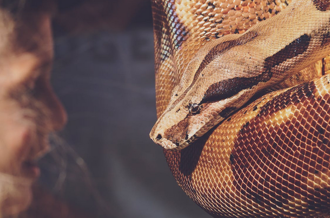 python